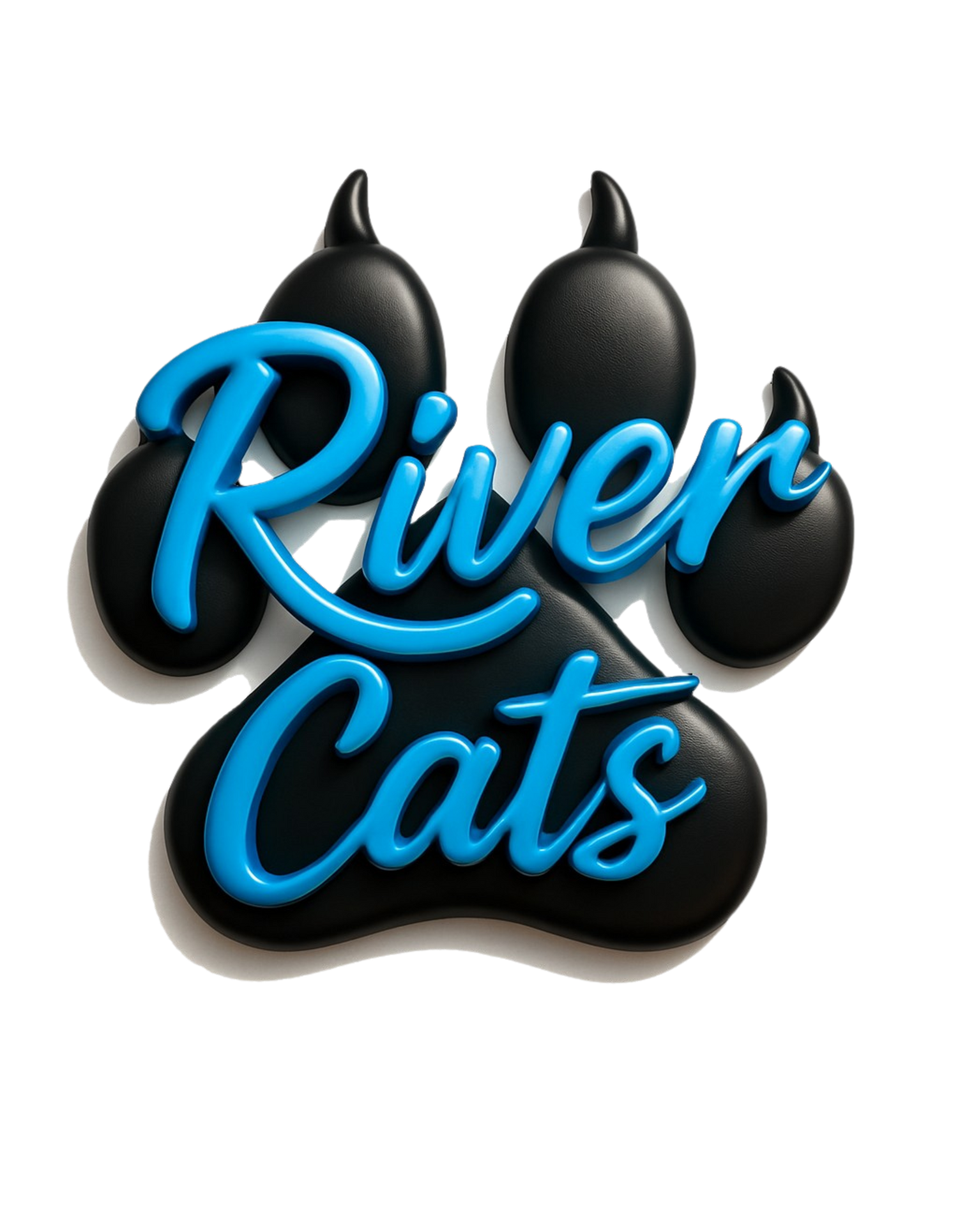 Clackamas County River Cats Cheer